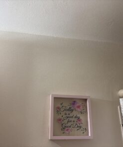 MOLD ARMOR Mold and Mildew Killer + Quick Stain Remover, 32 oz., Trigger Spray Bottle, Eliminates 99.9% of Household Bacteria and Viruses, Ideal Bathroom Mold and Mildew Remover 39 71VwegEOW4L