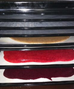 Chuzy Chef Set of 9 Dehydrator Sheets - Baking Mat Teflon Dehydrator Sheet - 14'' X 14'' Food Dehydrator Tray Liners Non Stick Sheets Baking Mat Food Dryer Sheet For Excalibur 21 71VwfA1825L