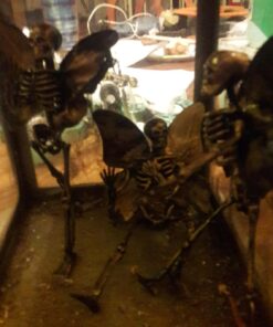 60 Inches Scary Skeleton Garland Dangling Bone Halloween Decor (Pack of 3) 20 71W lwSsCsL