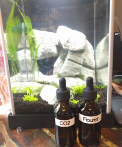 Yesker Amber Glass Bottles (Pack of 6) for Essential Oils with Glass Eye Dropper, 2 Ounce Capacity 6 Pack 34 71W0ccD6vzL