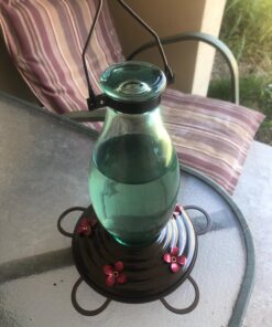 BOLITE 18001 Hummingbird Feeder, Glass Wild Hummingbird Feeders for Outdoors, Retro Edison Bulb Bottle, 25 Ounces, Green, Xmas Gifts for Bird Lovers Retro Bulb 34 71W2J7j2 L