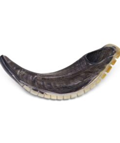 Kosher Shofar 9"-11" Half Polished Natural Israel New 8 71W331ZzEkL