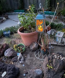 Solar Lantern Outdoor Hummingbird Blue Decor Antique Metal and Glass Construction Mission Solar Garden Lantern Indoor and Outdoor Solar Hanging Lantern Entirely Solar Powered Lantern Low Maintenance 1 Pack 35 71W5zv BvaL