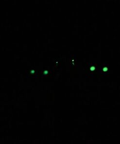 TRUGLO Brite-Site Tritium Green Kimber Handgun Sights (TG231K) 30 71W6SVPYiYL
