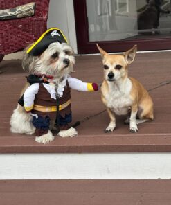 NACOCO Pet Dog Costume Pirates of The Caribbean Style (Medium) Medium Brown 33 71W7oGIvNcL