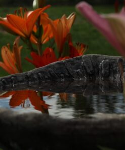 K&F Concept 58mm Variable ND Filter ND2-ND32 Camera Lens Filter (1-5 Stops) No X Cross HD Neutral Density Filter with 28 Multi-Layer Coatings Waterproof (Nano-X Series) 36 71W9xFPRkgL