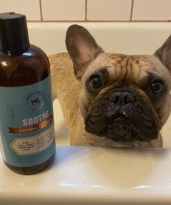 Rocco & Roxie Dog Shampoo and Conditioner - Soothe Oatmeal Shampoo for Itch Relief, Calm Hypoallergenic Shampoo for Sensitive Skin, and Shine Argan Oil Pet Wash - Puppy Bathing Supplies 16 oz 29 71WBS gYdWL