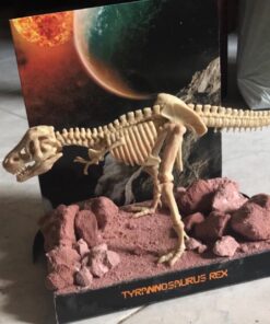 4M KidzLabs Dig A Dino Tyrannosaurus Rex, Paleontology Skeleton Fossil Dinosaur Discovery - STEM Toys Educational Gift for Kids & Teens, Girls & Boys 36 71WCXsf3zXL 1