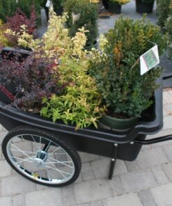 Polar 8376 Utility Cart 9 71WGbpsx5aL