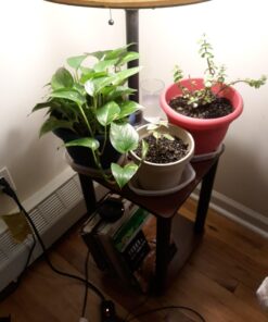 Espoma Organic Potting Soil Mix - All Natural Potting Mix For All Indoor & Outdoor Containers Including Herbs & Vegetables. For Organic Gardening, 8qt. bag. Pack of 1 43 71WJQFts8FL 2