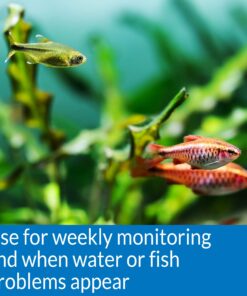 API FRESHWATER MASTER TEST KIT 800-Test Freshwater Aquarium Water Master Test Kit, White, Single, Multi-colored 34 71WMhcD89sL