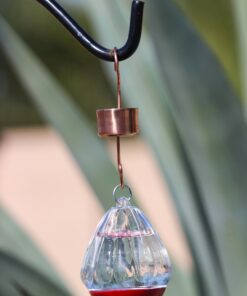 Skinny Ant Moat with Guard for Hummingbird Feeders - Gets Rid of Ants Fast in Nectar Feeder. All Natural & No Chemicals Needed. 29 71WN4sule0L