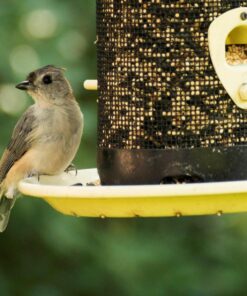 OM SYSTEM OLYMPUS M.Zuiko Digital 40-150mm F4.0-5.6 R Black For Micro Four Thirds System Camera, 3.75x Zoom Lens, Portable Design Standard Packaging 80 71WONYxPBUL