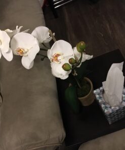 Sauder Beginnings Table Set, L: 35.32" x W: 19.45" x H: 17.17", Cinnamon Cherry 42 71WPodfpgmL