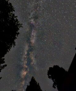 Rokinon 14mm f/2.8 IF ED UMC Ultra Wide Angle Fixed Lens w/ Built-in AE Chip for Nikon 59 71WQr2n2hgL