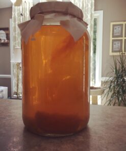 Cornucopia 1 Gallon Glass Kombucha Jar w/Cotton Cloth Cover & Plastic Lid for Storage after Brewing 23 71WTnm36OoL