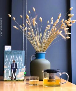 A Man Called Ove: A Novel 11 71WUCIL6p7L