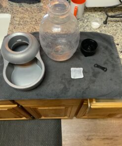 Petmate Replendish Automatic Gravity Waterer for Cats and Dogs, BPA-Free, No Batteries Required, Includes Charcoal Filter, 1 Gallon, Made in USA Silver 1 GAL 47 71WV2hq71yL