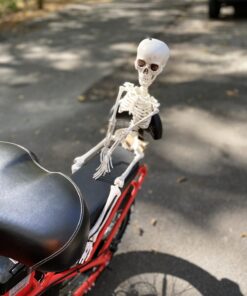 PREXTEX 30” Halloween Skeleton for Halloween Décor & Day of The Dead Décor - 2.5 ft Full Size Halloween Plastic Skeleton with Movable Joints for Best Halloween Skeletons Decoration - Indoor & Outdoor 30 inches 20 71WaVvOASBL