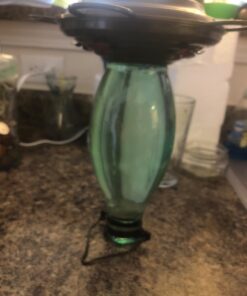 BOLITE 18001 Hummingbird Feeder, Glass Wild Hummingbird Feeders for Outdoors, Retro Edison Bulb Bottle, 25 Ounces, Green, Xmas Gifts for Bird Lovers Retro Bulb 35 71WeOeI1bNL