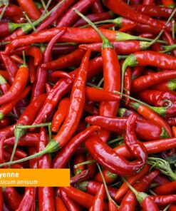 Herb Pharm Certified Organic Cayenne Extract for Cardiovascular and Circulatory Support - 1 Ounce 1 Fl Oz (Pack of 1) 13 71WeYcvYjOL