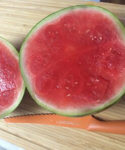 Kizo Stainless Steel Watermelon Slicer/Corer and Serving Tongs with Long Grip Handle and Set of 4 Fruit Forks 17 71Wez0xQnRL