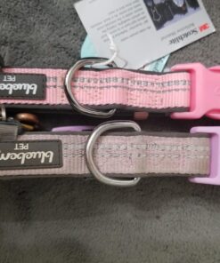 Blueberry Pet Soft & Safe 3M Reflective Neoprene Padded Adjustable Dog Collar - Baby Blue Pastel Color, Medium, Neck 14.5"-20" 62 71WfDqZQDYL 2