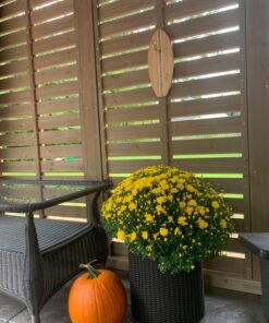 Tiki Toss Ring Toss Game for Adults & Kids - Hook and Ring Games with String and Hooks for Indoor Use, Man Cave Decor & Stuff, Gifts for Men Original 33 71WhCCNRL L