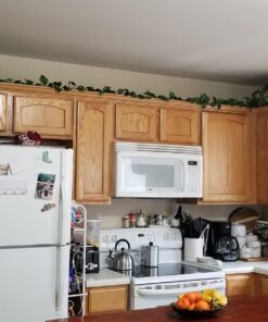 Nearly Natural 15in. Pothos Ledge Plant (Set on Foam) Silk Plant,Green 39 71Wi kySPjL