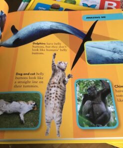 National Geographic Little Kids First Big Book of Why (National Geographic Little Kids First Big Books) 48 71WkwhHD6iL