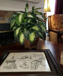 Nearly Natural Triple Golden Dieffenbachia with Wood Vase, Green, 20" x 18" x 22" 38 71WvYaYxaOL