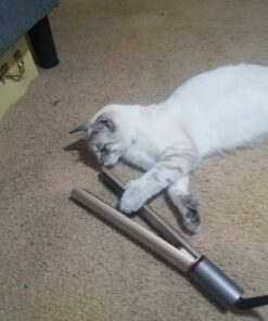 FURIDEN Professional Salon Quality Hair Straightener, Hair Straightener and Curler 2 in 1, Flat Iron Curling Iron in One, Fast Results | Long Lasting Gold 56 71WvzpgxcSL