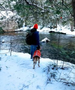 Zack & Zoey Nor'easter Blanket Coat for Dogs, 20" Large, Orange 1 L (Neck: 17", Girth: 28", Back: 20") 44 71WwTHHQkHL 3