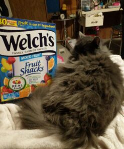 Welch's Pack of 80 Mixed Fruit 0.9 Ounce (Pack of 80) 25 71Wwl5IoQXL