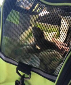 Paws & Pals Airline Approved Pet Carrier - Soft-Sided Carriers for Small Medium Cats and Dogs Air-Plane Travel On-Board Under Seat Carrying Bag with Fleece Bolster Bed for Kitten Cat Puppy Dog Taxi Green 49 71WyNdAFTUL