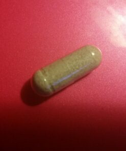 Premium Apple Cider Vinegar Capsules – Includes Apple Pectin, Spirulina & Kelp – ACV to Help Support Overall Wellness – Powerful Apple Cider Vinegar Pills – 90 Apple Cider Vinegar Capsules 19 71WzotRw3wL 1