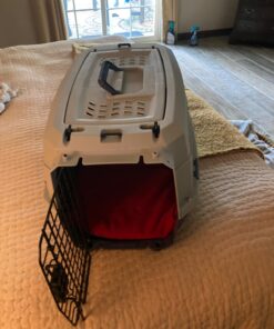 Amazon Basics - 2-Door Top-Load Hard-Sided Dogs, Cats Pet Travel Carrier, Gray & Blue, 22.8"L x 15.0"W x 13.0"H Two-Door Top-Load 92 71X0JRi4qdL