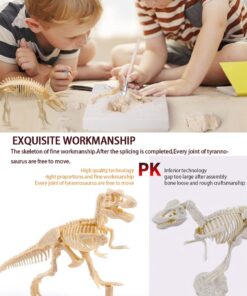 Dinosaur Excavation Kits for Kids,Dino Dig Kits T-Rex,Triceratops and Diplodocus,Dinosaur Fossil Excavation Kits,Children's Popular Science Education Toys - Dinosaur DIY Toys(Three-Piece Suit) 17 71X36BpZGL