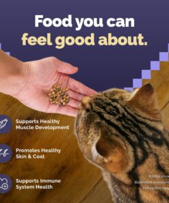 Blue Buffalo Cat Food, Natural Chicken Recipe, Wilderness High Protein, Adult Dry Cat Food, 12 lb bag 12 Pound (Pack of 1) 24 71X4pfEZ1YL