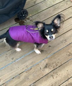 Kurgo Loft Dog Jacket, Reversible Dog Coat, Wear with Harness or Sweater, Water Resistant, Reflective, Winter Coat For Large Dogs (Coastal Blue, L) Coastal Blue/Orange 33 71X5 uIhkEL