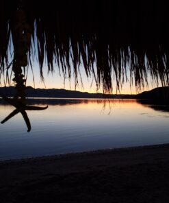 Zuke's Hip Action Hip & Joint Natural Dog Treats Crafted in the USA, 16 Ounce (Pack of 1) Peanut Butter & Oats 1.00 Pound (Pack of 1) 31 71X5ghIg4L