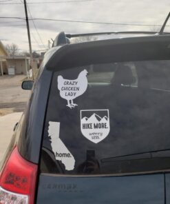 Crazy Chicken Lady 6" Vinyl Sticker DecalL43 Farm Life Farming Farmer Eggs Homegrown Rooster Hens Animals Pets 8 71XDNkGv4L