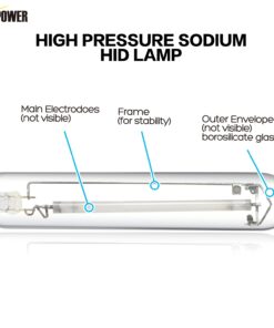 iPower GLBULBH400X2 400 Watt High Pressure Sodium Super Grow Light Lamp Full Spectrum HPS Bulb for Plants, 400W, white 2 Pack 12 71XDb4zeNbL