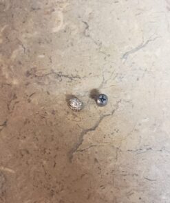 HatsanUSA 92164500003BL Air Guns BBS & Pellets 19 71XEy8YJo9L