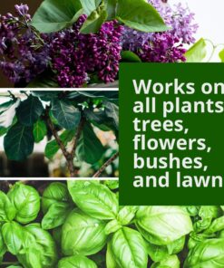 Humboldts Secret Set of A & B Liquid Hydroponics Fertilizer - World's Best Nutrient System – Hydroponic Nutrients for Outdoor, Indoor Plants – Supports Vegetative and Flowering Stages of Plants 32 Ounce 27 71XIHYtDkL