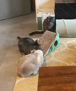 GoPets Premium Cat Scratcher - Wedge Shaped Corrugated Cardboard, Ergonomic Scratching Posts, Reversible Design, Lasts 2X Longer, with 1 Pack Catnip & Hidden Toy Cutouts for Endless Feline Play Fun 44 71XIU B2ZL 1