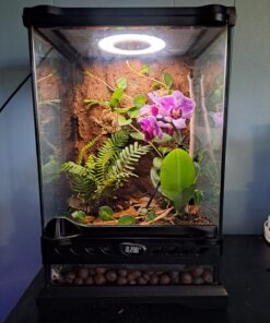 Alternative view of Exo Terra Glass Natural Terrarium Kit, for Reptiles and Amphibians, Nano Tall, 8 x 8 x 12 inches, PT2601A1