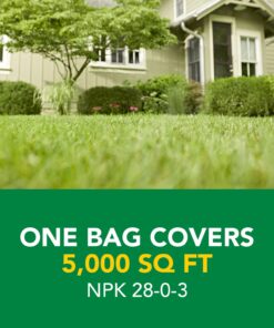 Scotts Turf Builder Weed & Feed3, Weed Killer Plus Lawn Fertilizer, Controls Dandelion and Clover, 5,000 sq. ft., 14.29 lbs. 5,000 sq. ft. Weed and Feed 38 71XLort0r4L