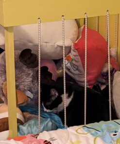 Alternative view of T.W Evans Cordage SC-104-050 1/4-Inch by 50-Feet Elastic Bungee Shock Cord