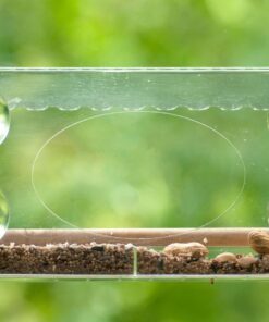 Large Clear Window Bird Feeder - Extended House with Strong Suction Cups - Steel Perch Sliding Feed Seed Tray - See Through Transparent Big Birdhouse - Wild Finch, Cardinal, Blue Jay - Cool Cat Gift 72 71XOE qXBAL